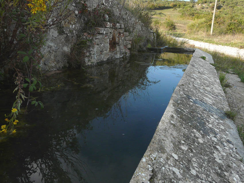 Fontanili della Toscana